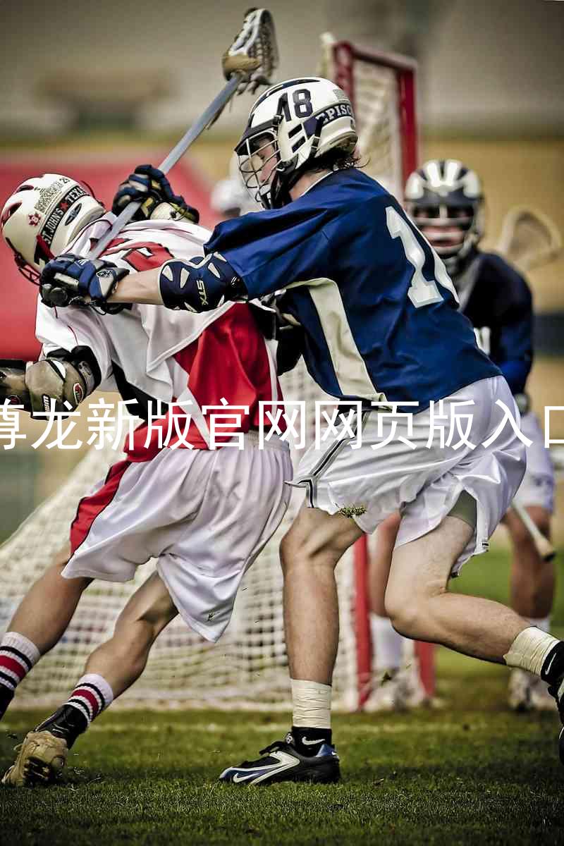 尊龙新版官网网页版入口